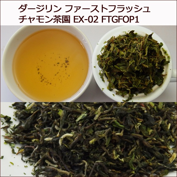 ダージリン 2017年 ファーストフラッシュ チャモン茶園 50g EX
