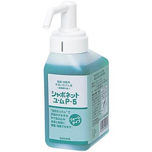 ゆととさま専用 センペルビウム ゆととさま専用 センペルビウム