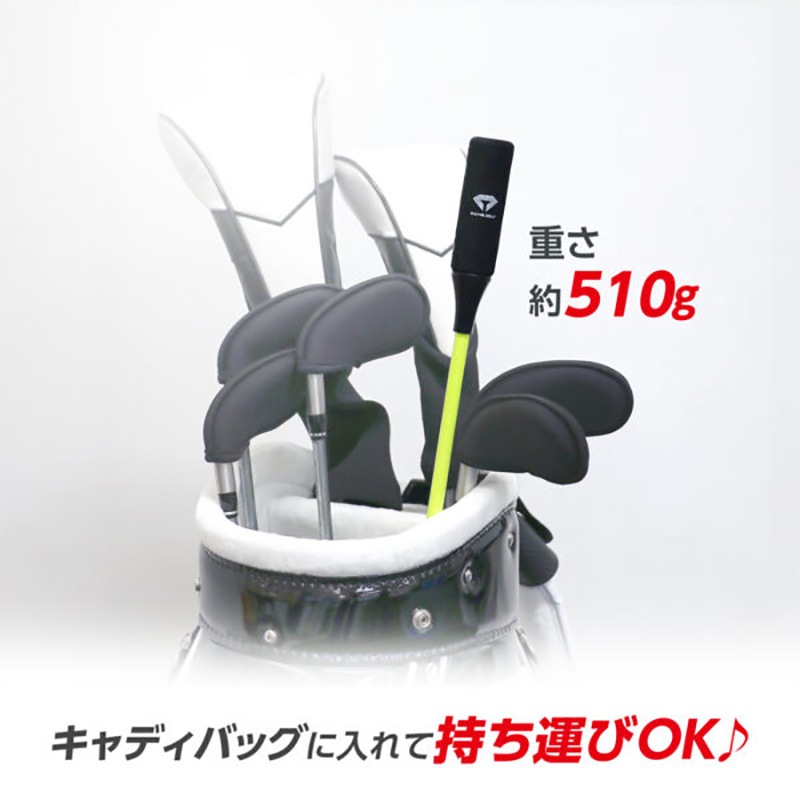 ダイヤゴルフ　ダイヤスウィングプロツアー　TR-5002 スウィング練習機 ダイヤゴルフ ダイヤスイングプロツアー TR-5002 スイング練習器