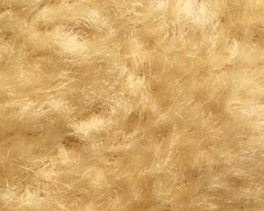 016003000006_eAm1zR5.jpg
