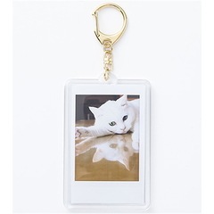 TWS はじめまして POPUP フォトフィルムキーリング コンプリート TWS シニュ はじめまして ポップアップ フォトフィルム