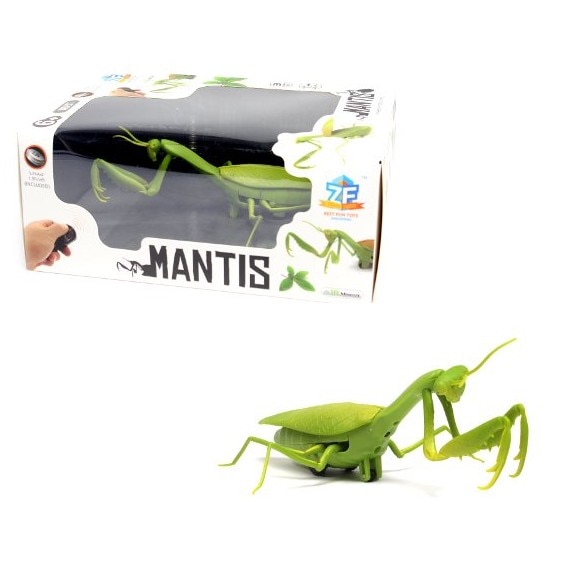 カマキリラジコン Amazon.co.jp: カマキリ ラジコン Mantis Radio Controlled