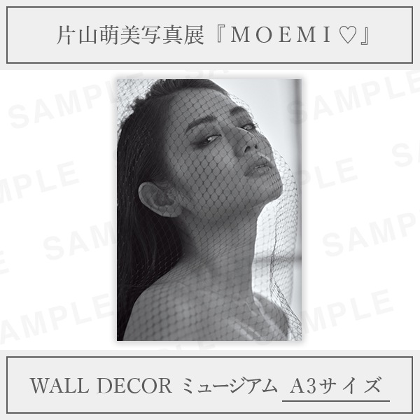 片山萌美-MOEMI♡｜WALL DECOR ミュージアム A3サイズ（全1 