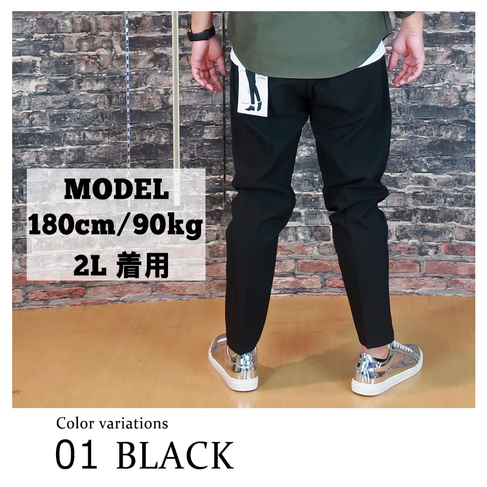 最終値下げ 大きいサイズ ストレッチイージーパンツ 【大きい | 2L～5L パンツ