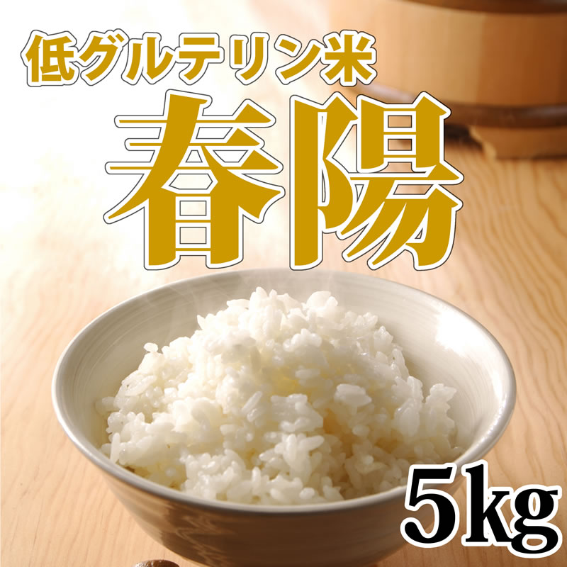 低タンパク質米　春陽　新潟産　令和6年　新米5kgx2袋 低タンパク質米 春陽 新潟産 令和6年 新米5kgx2袋