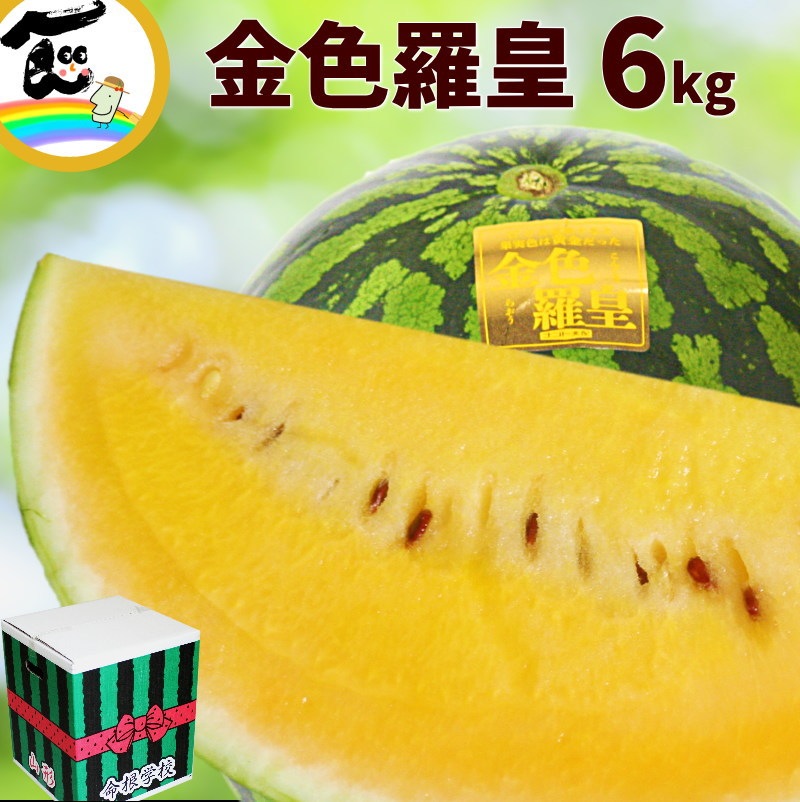 衝撃のサイズと甘さ、金色羅皇6L2玉セット24k前後箱込　かめまる食堂 衝撃のサイズと甘さ、金色羅皇6L2玉セット24k前後箱込 かめまる