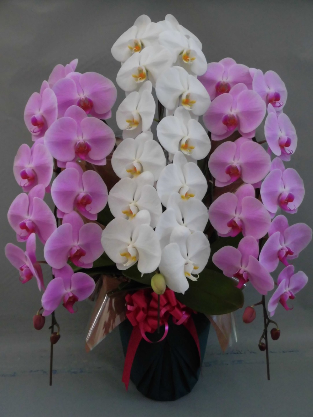 No.120 豪華！ 白×ピンク，ちょこっと金&紫 フラワーピン（付き合って  