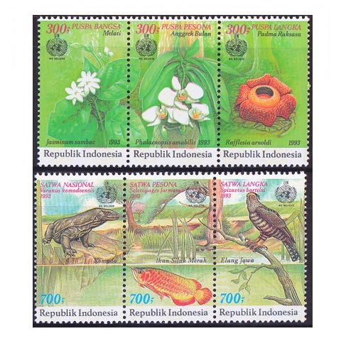 2615 外国切手 インドネシア 1960年頃 動物 シリーズ11種 未使用