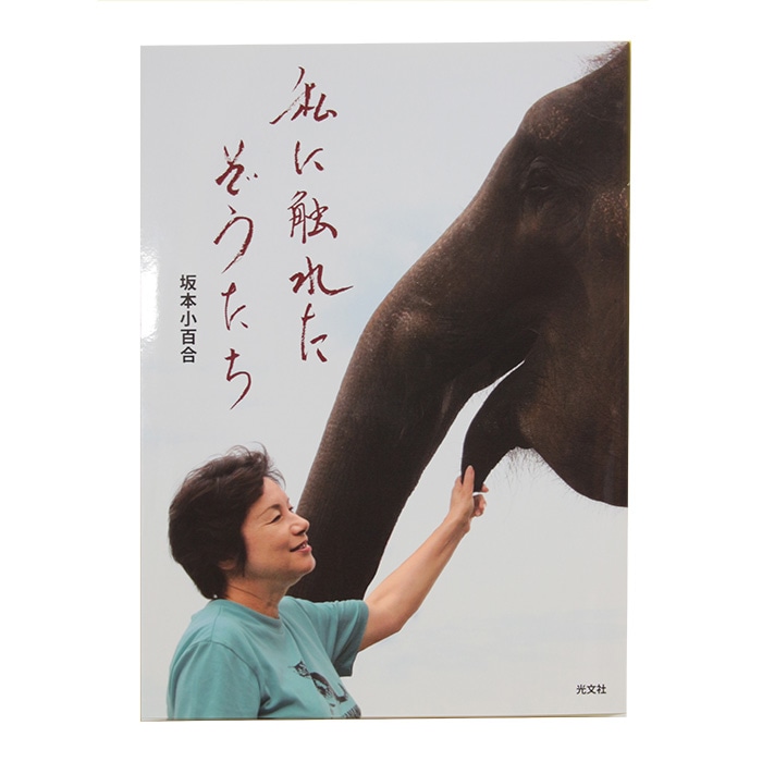【3万円内で楽しむ本物絵画】二科会原良次先生の小さな静物画（F3号） 原画：宙を歩く～光を知った猫～（サイズ：F8号（額縁含む 横