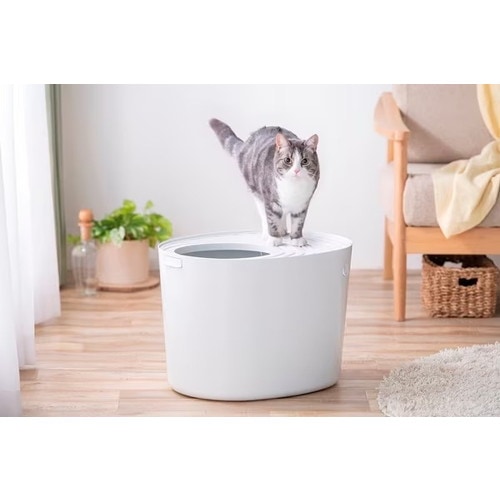 EC限定】アイリスオーヤマ 上から猫トイレ | すべての商品 | カーテン