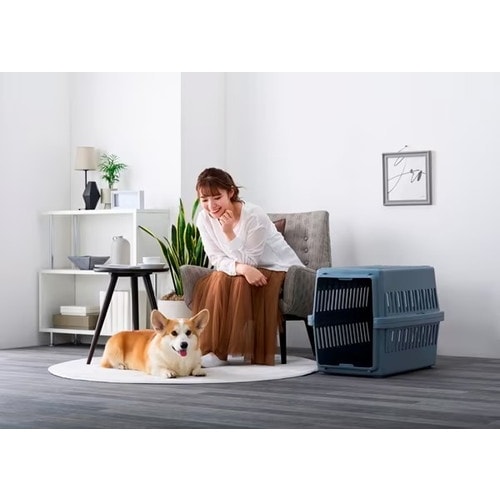 EC限定】アイリスオーヤマ エアトラベルキャリー Mサイズ | ペット用品