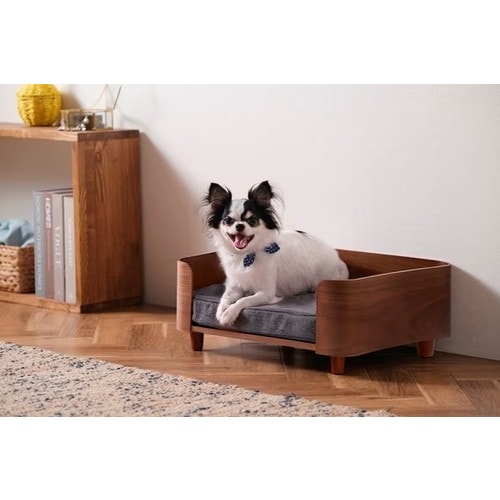 ヒヤシンス　PET 风信紫　290円 Petselect by Nihonikuji 公式オンラインショップペットセレクト