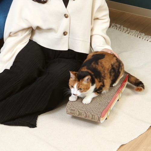 【EC限定】猫の爪とぎ　スケボー