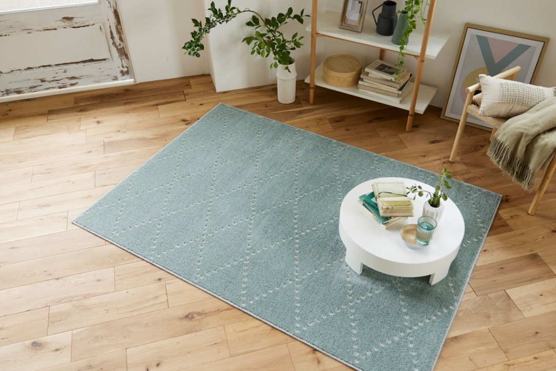 EC限定】防ダニ 消臭ラグ ポント（グリーン） | すべての商品