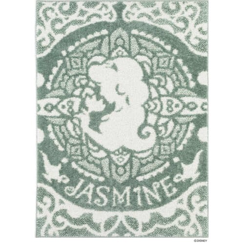 【EC限定】 DISNEYディズニーホームシリーズ DRT-1107 PRINCESS / Magic lamp RUG プリンセス / マジックランプラグ (#4 グリーン)