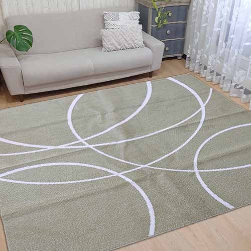 ペットと暮らすシリーズ  ラグ 　8大消臭　制菌防臭　防汚　防ダニ　防音効果　手洗い　ビーグル（グリーン）