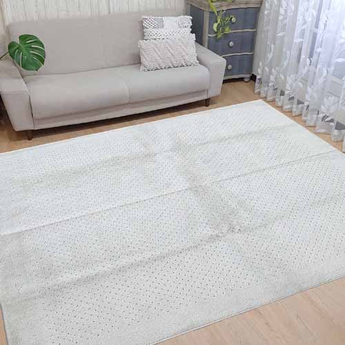 ペットと暮らすシリーズ  ラグ 　8大消臭　制菌防臭　防汚　防ダニ　防音効果　手洗い　シェルティ（アイボリー）