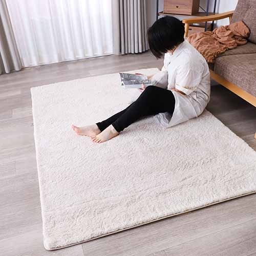 ラグ 防炎 防ダニ 抗菌 防臭 無地 ナイロンラグ モノリス（ベージュ