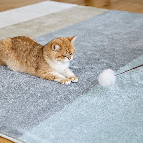 EC限定】防ダニ 消臭ラグ ワグ（ペールブルー） | すべての商品
