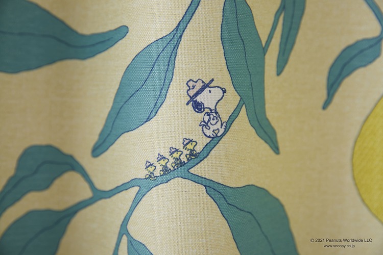 EC限定】PEANUTS 遮光2級 P1040 SNOOPY/スヌーピー/Camp lemon