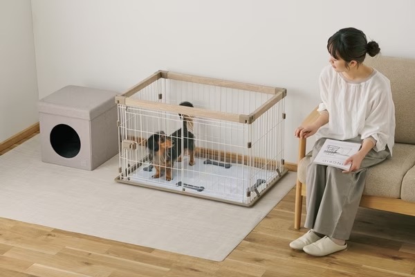 カンディハウス KOTAN チェア　リノリウム　 ベージュ カンディハウス KOTAN｜カンディハウス｜ダイニング｜チェア