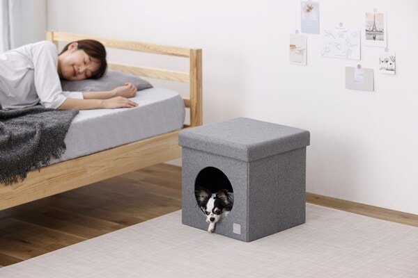 カンディハウス KOTAN チェア　リノリウム　 ベージュ カンディハウス KOTAN｜カンディハウス｜ダイニング｜チェア