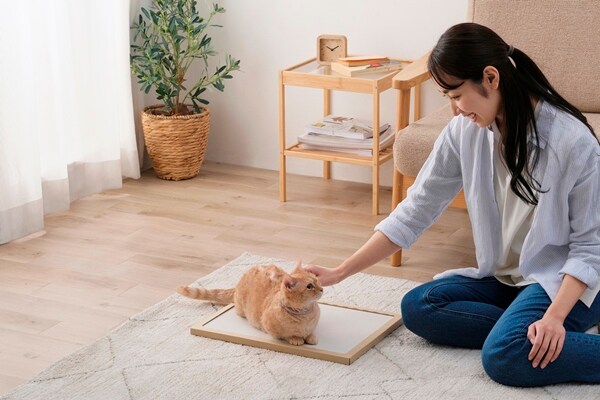 EC限定】アイリスオーヤマ NECOCOCHI（ねここち） | 雑貨 | カーテン