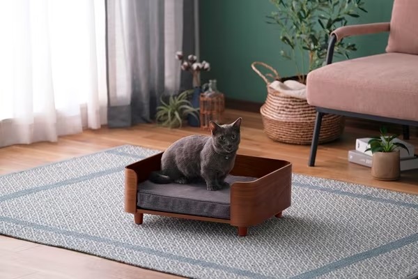 極美品／元値35,200円／K10 ねこ オッドアイ（VA VENDOME） va vendome aoyama ピアス K10YG ねこ オッドアイ ピアス(片耳用