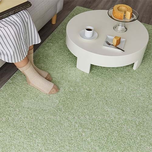 EC限定】防ダニ 消臭ラグ ポント（グリーン） | すべての商品