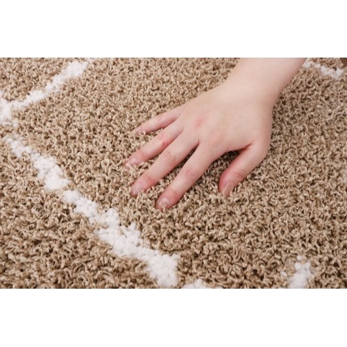 ラグ 防ダニ 抗菌 防臭 シャギー メルシャン（モカブラウン