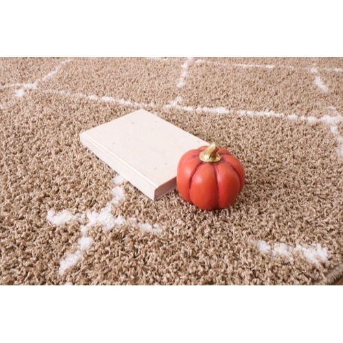 ラグ 防ダニ 抗菌 防臭 シャギー メルシャン（モカブラウン