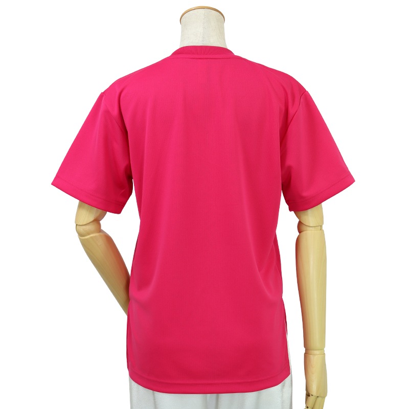 ＊＊吸汗ドライTシャツ 虹の鳳凰【半袖・プリント】