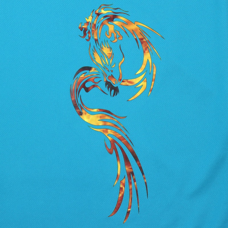＊＊吸汗ドライTシャツ 炎龍【半袖・プリント】