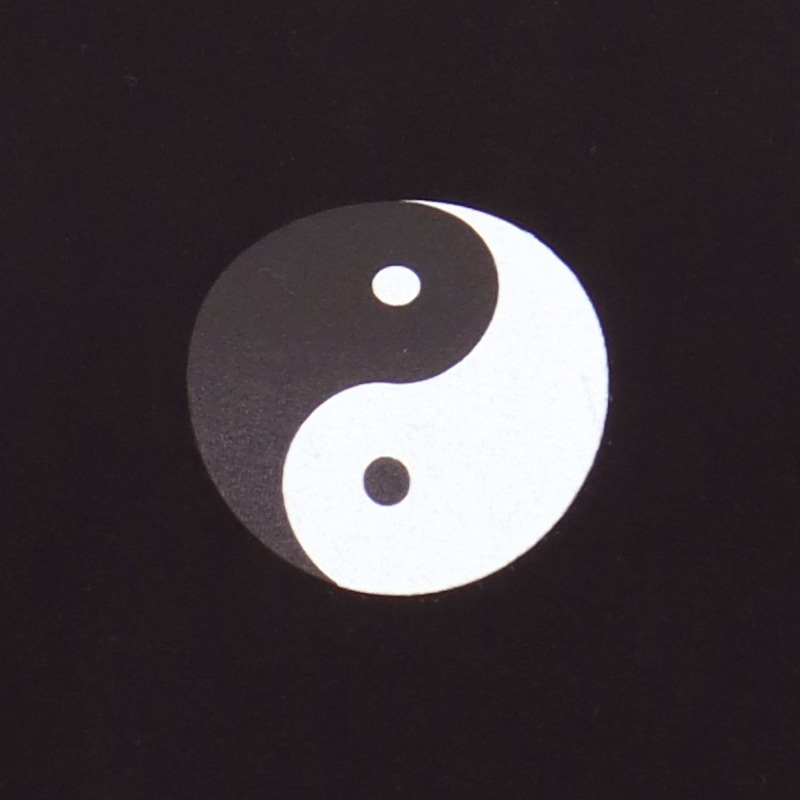 【特価】中国製 綿100%Tシャツ 武術太極(黒・S、LLサイズ)【半袖・プリント】