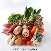 【行方市観光物産館「こいこい」】旬の野菜ボックス　約10種類