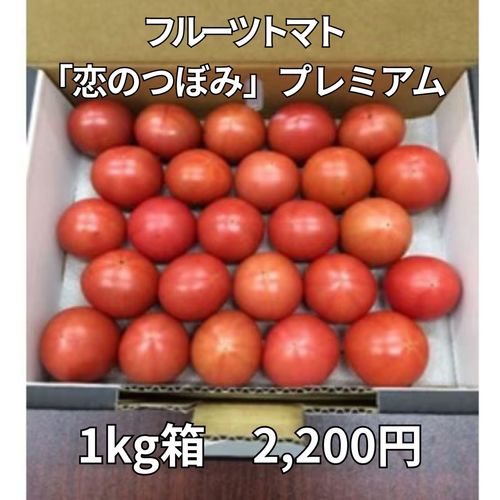 【JAなめがたしおさい】フルーツトマト「恋のつぼみ」プレミアム1kg箱