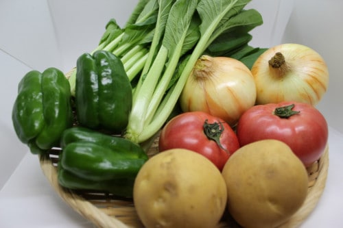 【旬の野菜　5種類セット】【行方市観光物産館「こいこい」】野菜ボックス