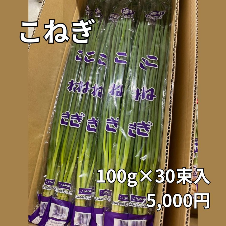 【JAなめがたしおさい】「こねぎ」（100g×30束）