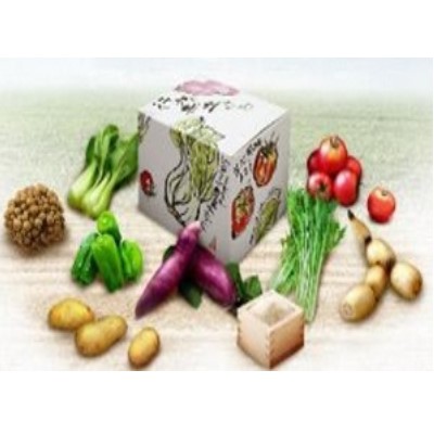 【JAなめがたしおさい】JA産「フルーツトマト入り季節の野菜セット」