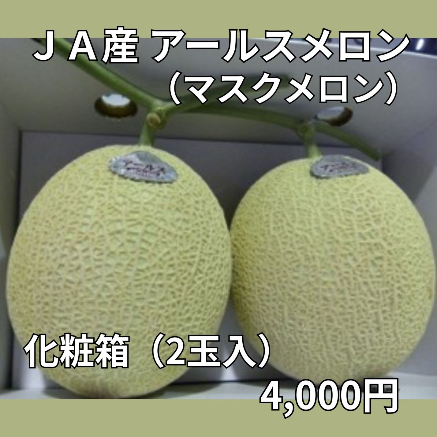 【JAなめがたしおさい】ＪＡ産「アールスメロン（マスクメロン）」化粧箱（2玉入）