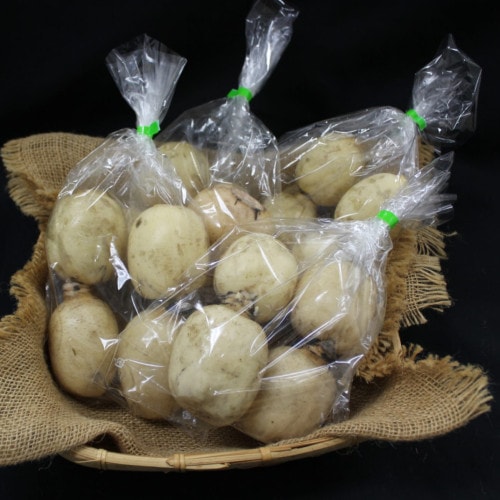 真家さんちの「行方のれんこん」【2ｋｇ（５００g×4）】