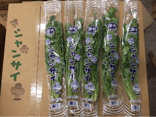 【ＪＡなめがたしおさい】「シャンサイ（パクチー）」（20袋入）