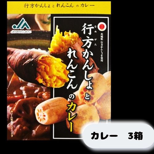 【JAなめがたしおさい】行方かんしょとれんこんのカレー（200g×3箱）