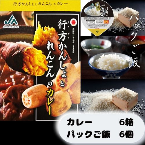 【JAなめがたしおさい】~GI登録「さつまいも」使用~ 「行方かんしょとれんこんのカレー」6箱　「パックご飯」6個セット