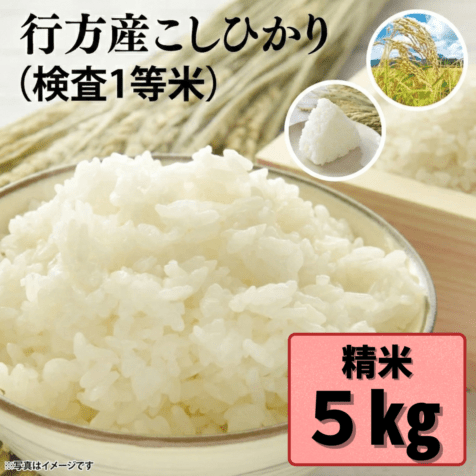 行方産こしひかり　5kg 　※精米【数量限定・送料込み】