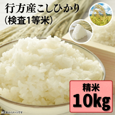 行方産こしひかり　１０kg 　※精米【数量限定・送料込み】