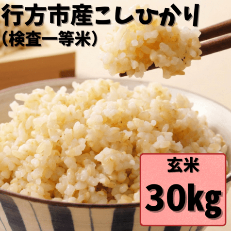 行方産こしひかり　玄米３０kg 【数量限定・送料込み】