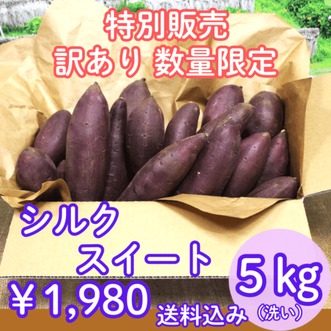 ４月下旬から発送『なめがたさんちの熟成さつまいも（シルクスイート）【5kg 】』【大きさお任せ・洗い】※送料込み※日付指定不可