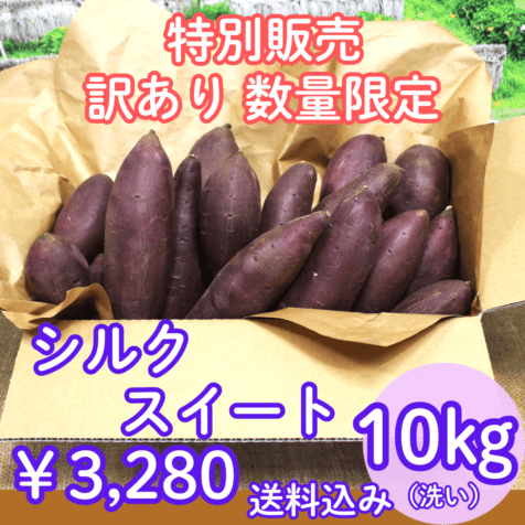 4月下旬から発送『なめがたさんちの熟成さつまいも（シルクスイート）【約10kg 】』【大きさお任せ・洗い】※送料込み※日付指定不可