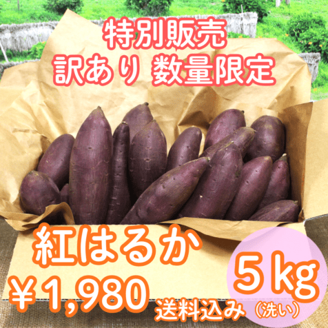 5月中旬から発送『なめがたさんちの熟成さつまいも（紅はるか）【約5kg 】』【大きさお任せ・洗い】※送料込み※日付指定不可